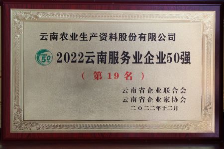2022云南服务业企业50强第十九名