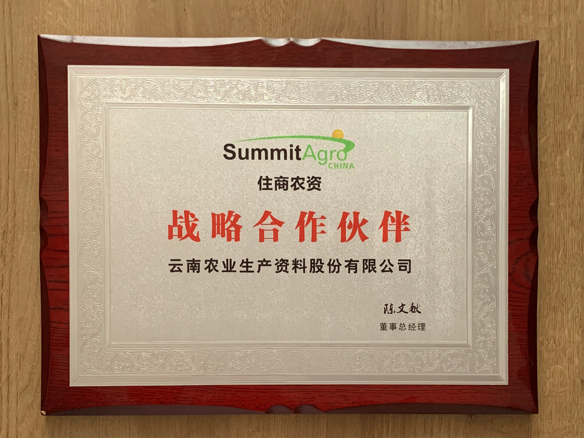韩国summit战略合作伙伴
